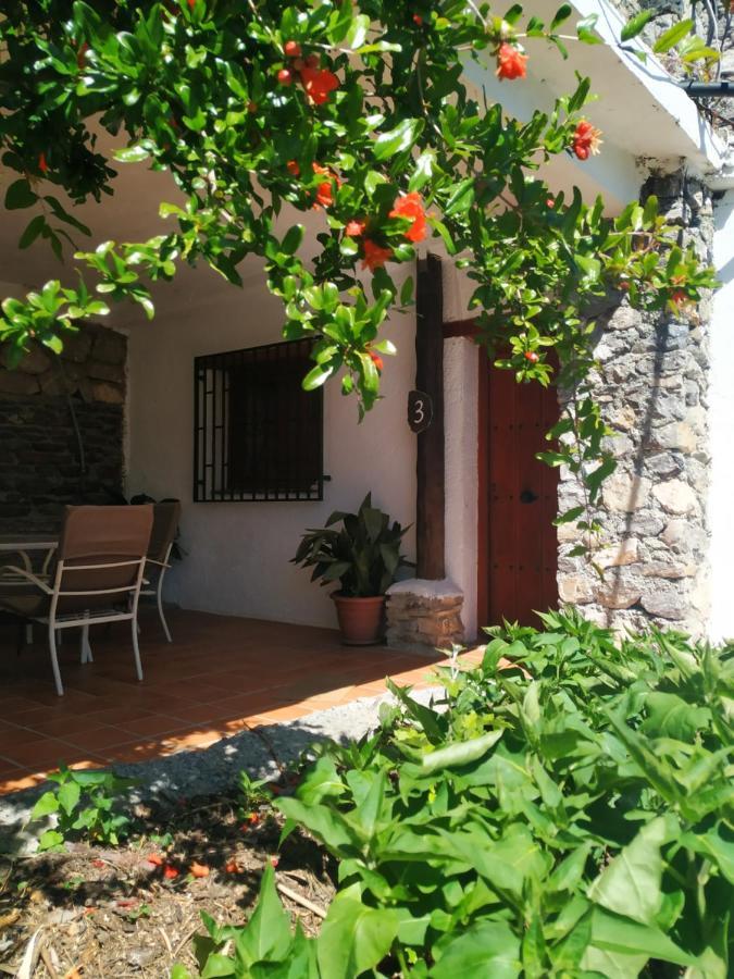 Cortijo La Solana ξενώνας Guejar-Sierra Εξωτερικό φωτογραφία